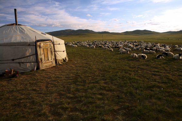 duurzame sloffen mongolië