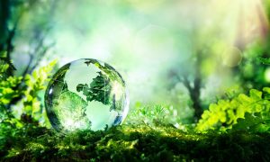 wat is greenwashing sustainability