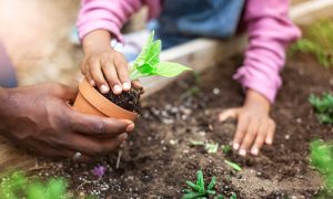 boeken over duurzaam tuinieren met kinderen