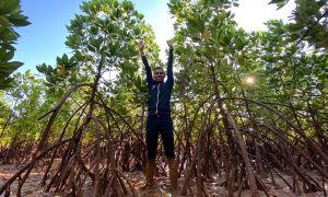 The Bamboovement bomen planten