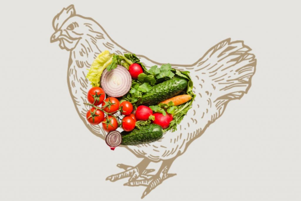 veganuary: vegan challenge met volop tips en informatie